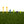 Tee Turf Golfmat van SimSpace met 6 tee's erop die inbegrepen zitten in de aankoop.